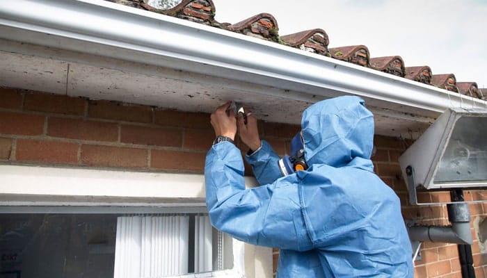 Should you get an asbestos survey when buying a house blog image
