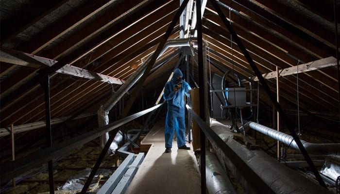 Choosing an Asbestos Surveyor Blog Image