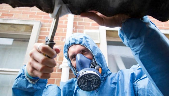 How Much Does An Asbestos Survey Cost? - Asbestos Consultant in Bristol