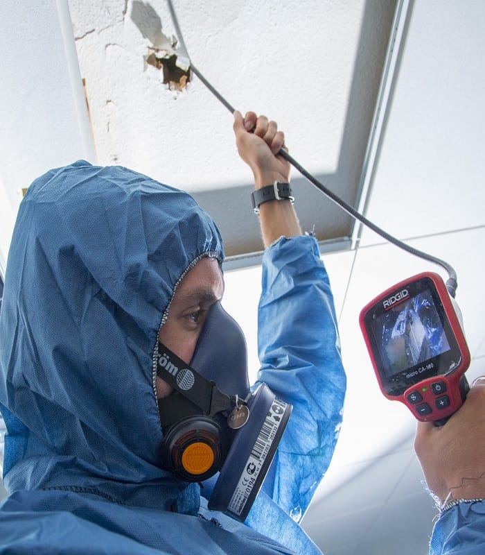 asbestos ceiling tests